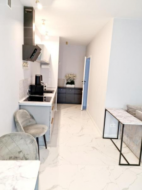 Apartament Chopina